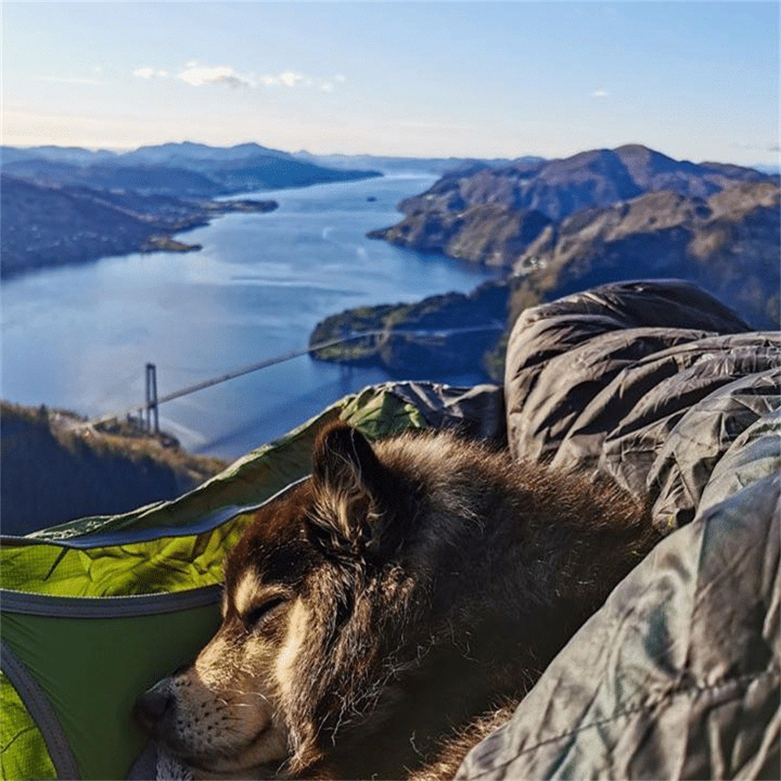 Flat Lay Hängematte mit Aufhängeset – Ultrabequem & kompakt fürs Camping - ExploreZone